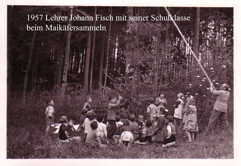 Datei:Image1-31 b.jpg