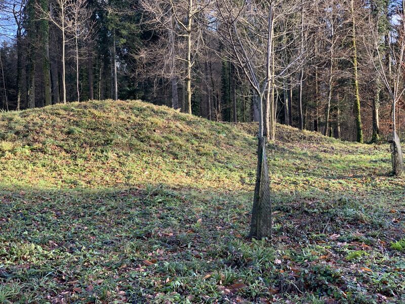 Datei:Kelten 2.JPG