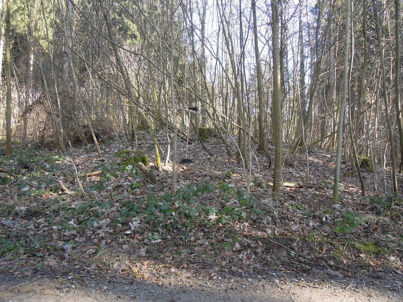 Datei:Keltengräber unterlunkhofen Foto hügel.jpg