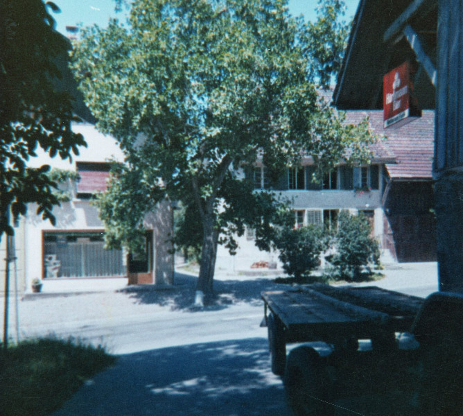 Datei:Tulpenbaum Aebersold Ottenbach Dia von Joh.Fisch um 1953 1959.jpg