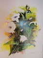 Aquarell "Ackerwinde"