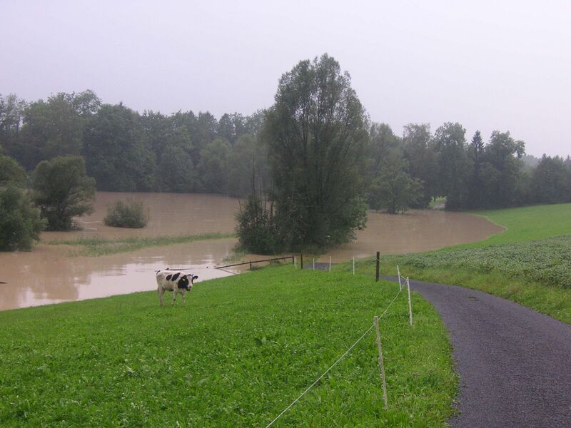 Datei:Hochwasser reuss 22 8 2005 gmeimatt.JPG