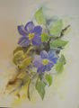 Aquarell "Clematis"