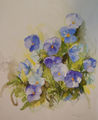 Aquarell "Stiefmütterchen"