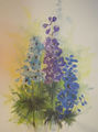 Aquarell "Rittersporn 2"