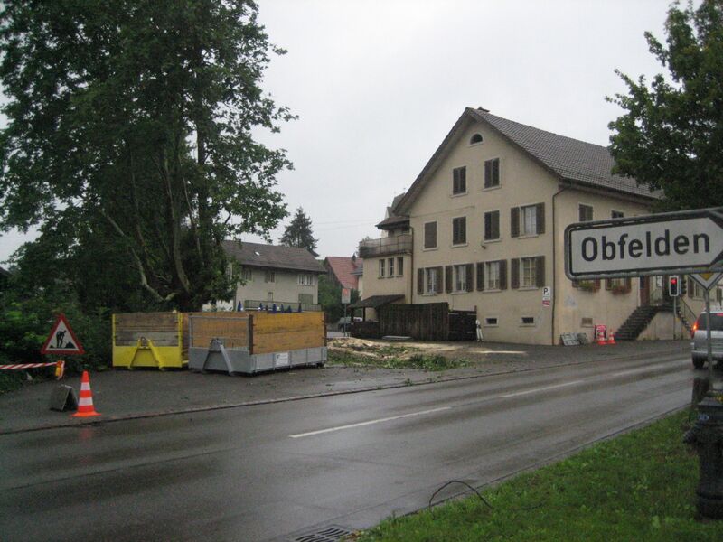 Datei:Rosskastanie 5.jpg