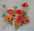 Aquarell "Wilder Mohn"
