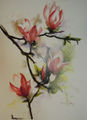 Aquarell "Magnolien"