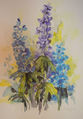 Aquarell "Rittersporn 1"