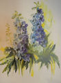 Aquarell "Rittersporn 3"
