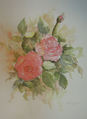 Aquarell "Rosen"